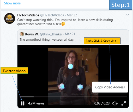 download twitter videos by link